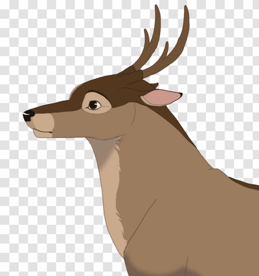 Elk Reindeer Fauna Snout Wildlife Transparent PNG