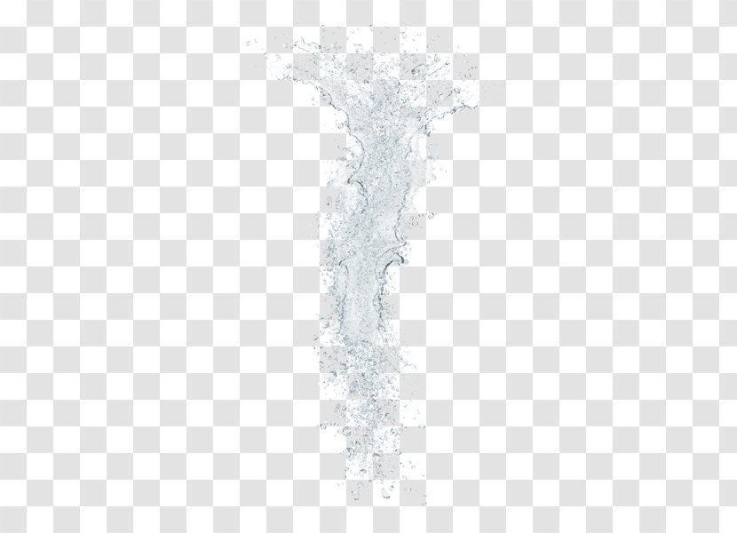 Tree Water Font - Splashing Effect Transparent PNG