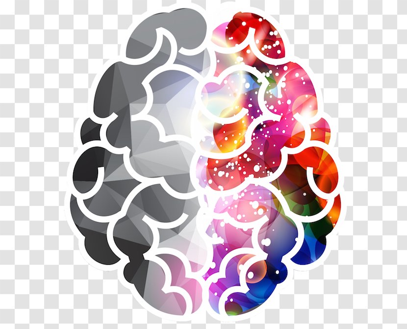 Lateralization Of Brain Function Human - Designer Transparent PNG