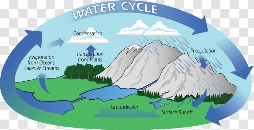 Water Cycle Hydrology Atmosphere Of Earth Evaporation - Surface Runoff Transparent PNG