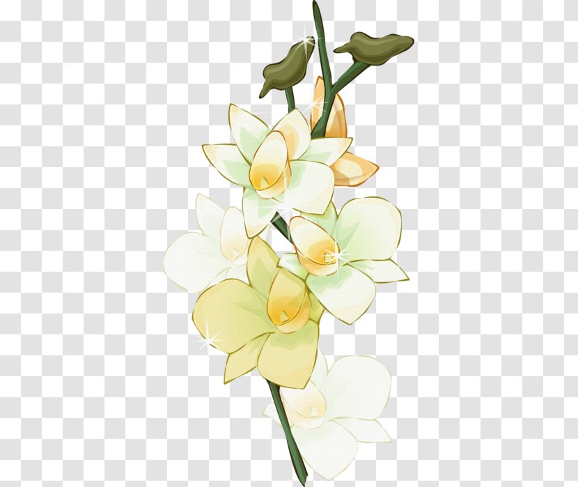 Floral Design Flower - Floristry Transparent PNG