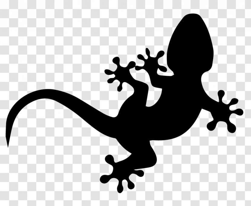 Lizard Common Iguanas Gecko Reptile - Organism Transparent PNG