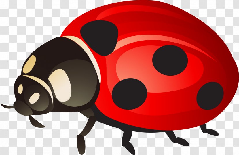 Ladybird Clip Art - Red - Ladybug Transparent PNG