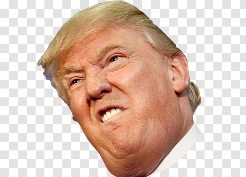 Donald Trump United States Crippled America YouTube Politician Transparent PNG