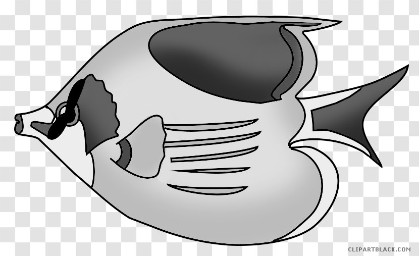 Koi Goldfish Drawing Tropical Fish Image - Headgear Transparent PNG