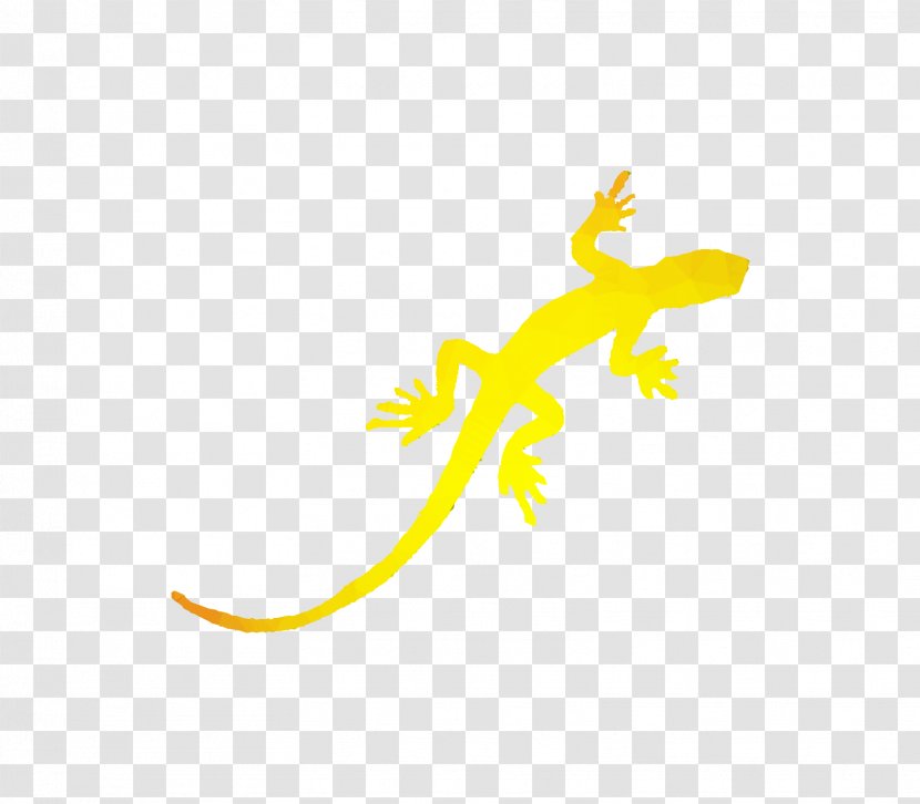 Gecko Lizard Blue Chameleon: With Audio Recording Yellow Eidechse - Wall Transparent PNG
