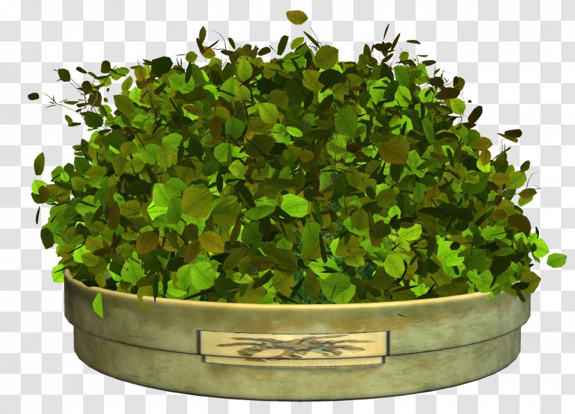 Clip Art - Albom - Flower Bed Transparent PNG