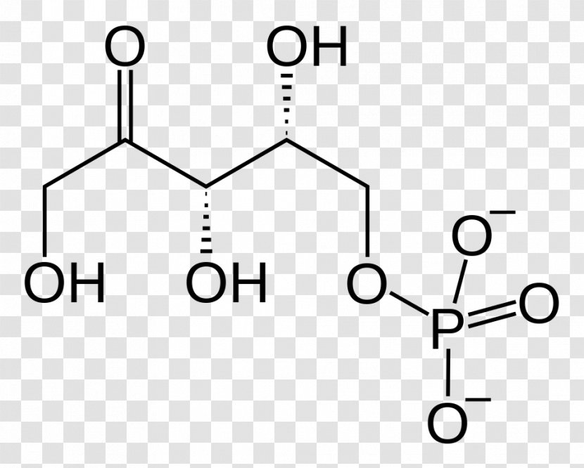 Ribose 5-phosphate Ribulose Beilstein Database Chemistry - Black And White - 5phosphate Transparent PNG