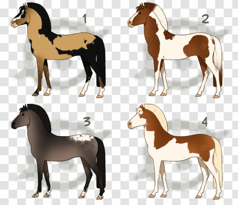 Mustang Pony Stallion Foal Mule - Livestock - SOLD OUT Transparent PNG
