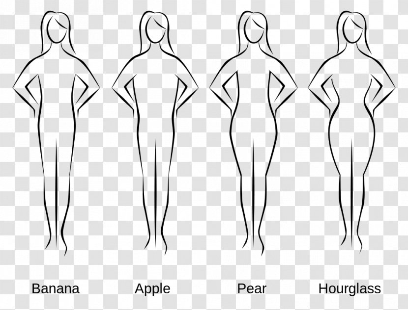 Female Body Shape Woman Human Somatotype And Constitutional Psychology - Watercolor Transparent PNG