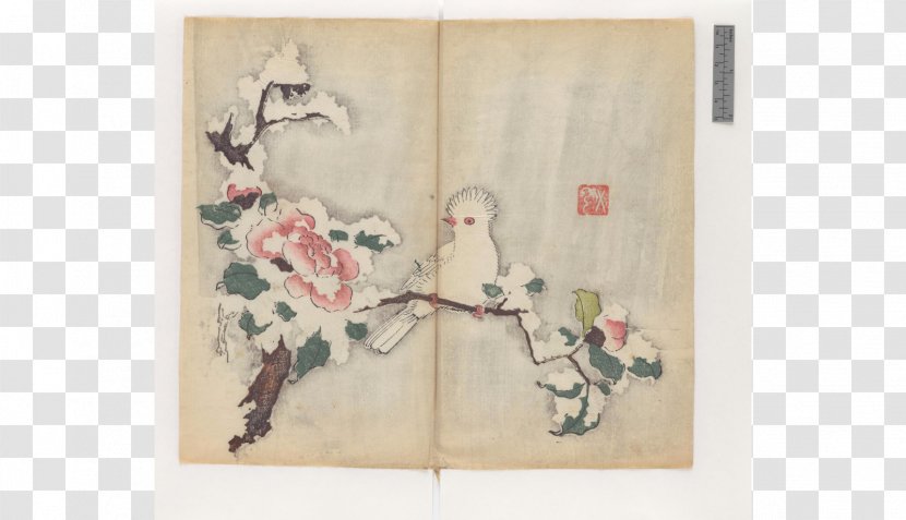 Woodblock Printing China Book Art Chinese Calligraphy - Artwork - Zhai Transparent PNG
