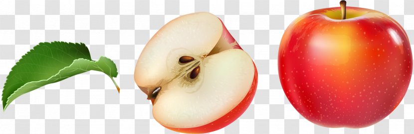 Apple Auglis Clip Art - Fruit - Vector Red Transparent PNG