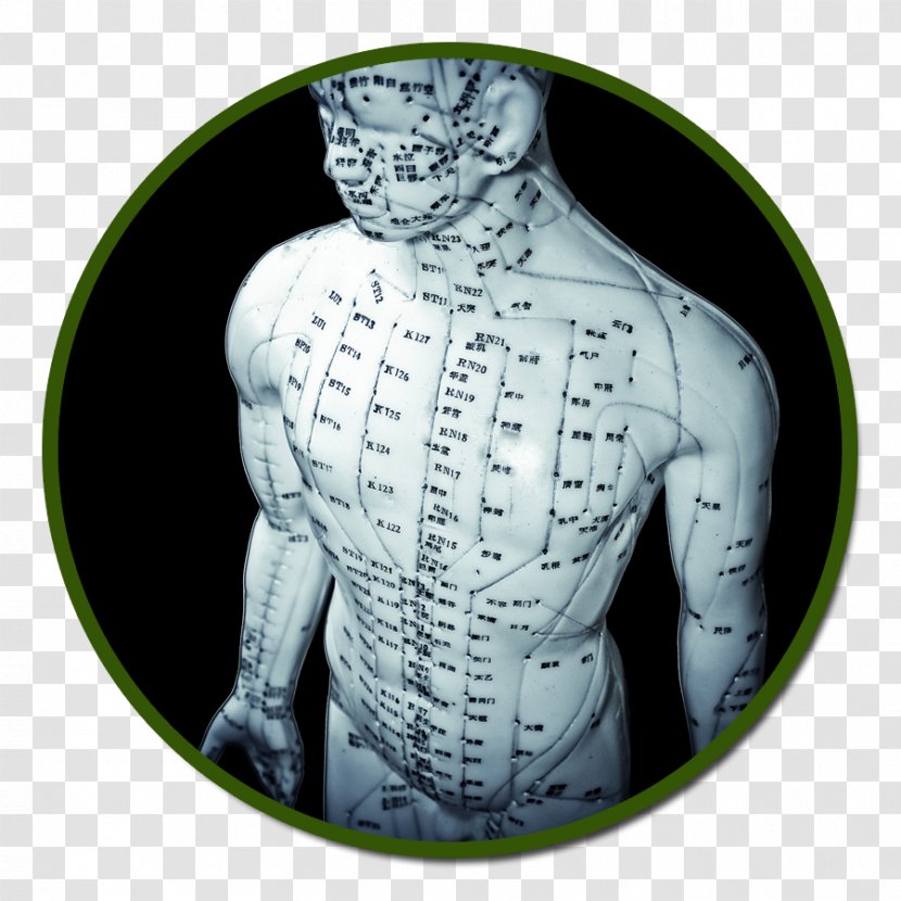 Acupuncture Qigong Traditional Chinese Medicine - Meridian - Health Transparent PNG