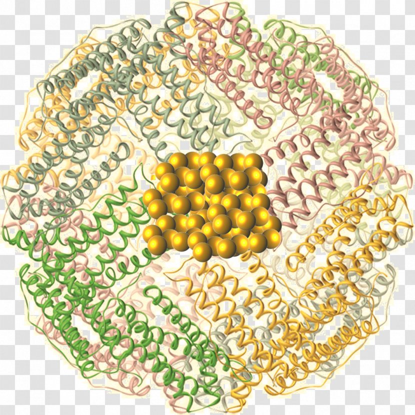 Material - Molecular Virology Transparent PNG