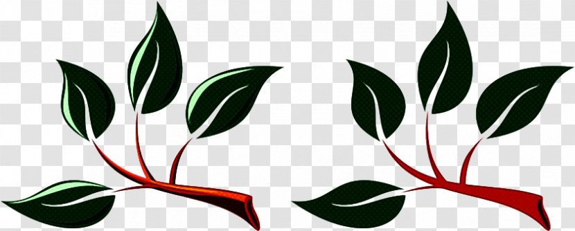 Leaf Plant Flower Transparent PNG