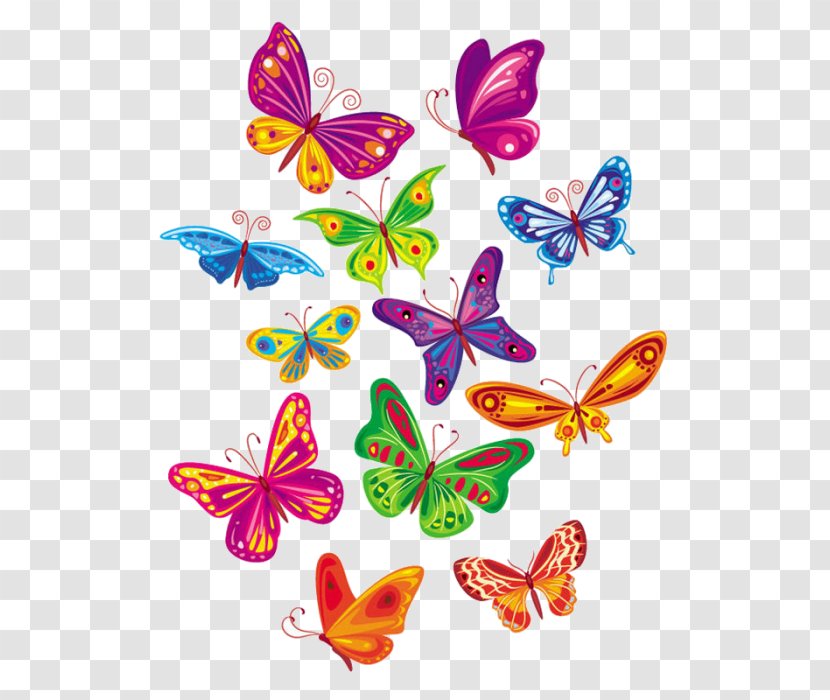 Butterfly Royalty-free Clip Art - Sticker Transparent PNG
