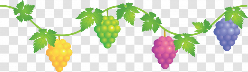 Grape Grapes Fruit Transparent PNG