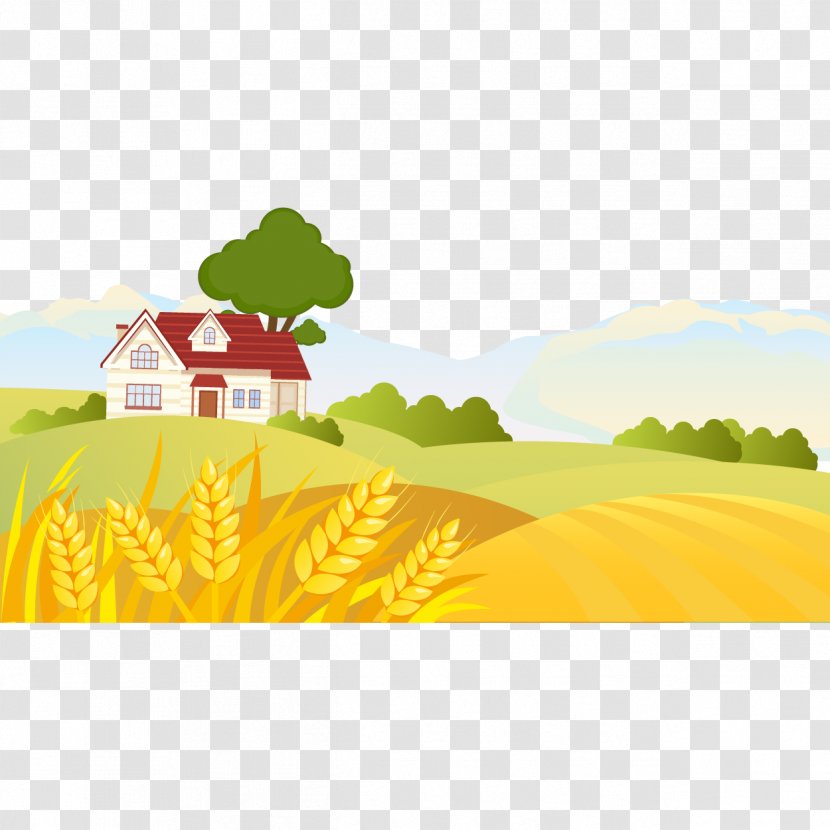 Cartoon Landscape Drawing Illustration - Vector Golden Wheat Field Transparent PNG