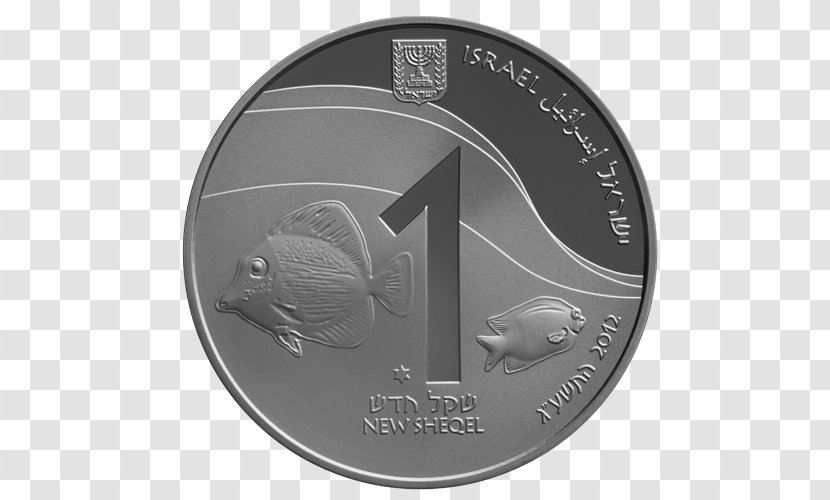 Gold Coin Israeli New Shekel Silver Eilat - Black And White - Israel Transparent PNG