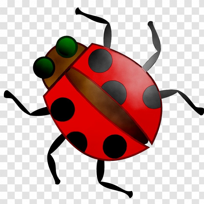 Ladybird Beetle Clip Art Image Vector Graphics - Bug - Animation Transparent PNG