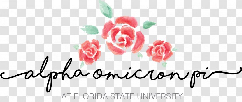 Florida State University Alpha Omicron Pi Sorority Recruitment North American Fraternity And Housing Rose Transparent PNG