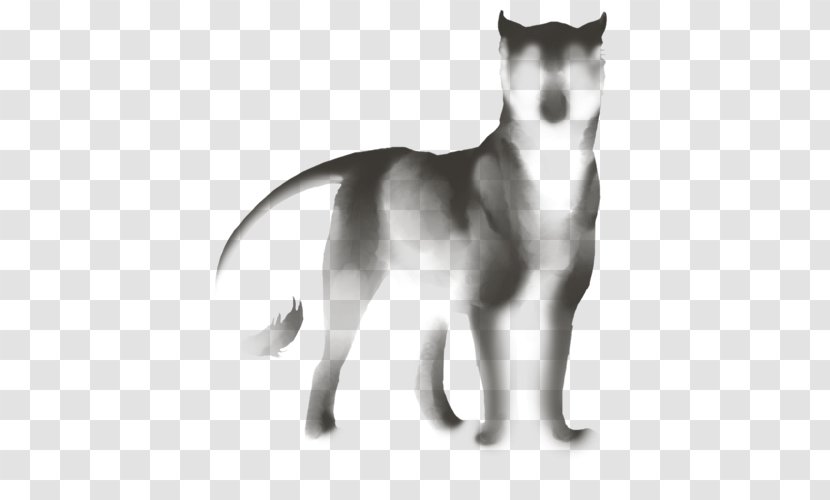 Siberian Husky Sakhalin Seppala Sleddog Dog Breed Whiskers - Black And White - Cat Transparent PNG