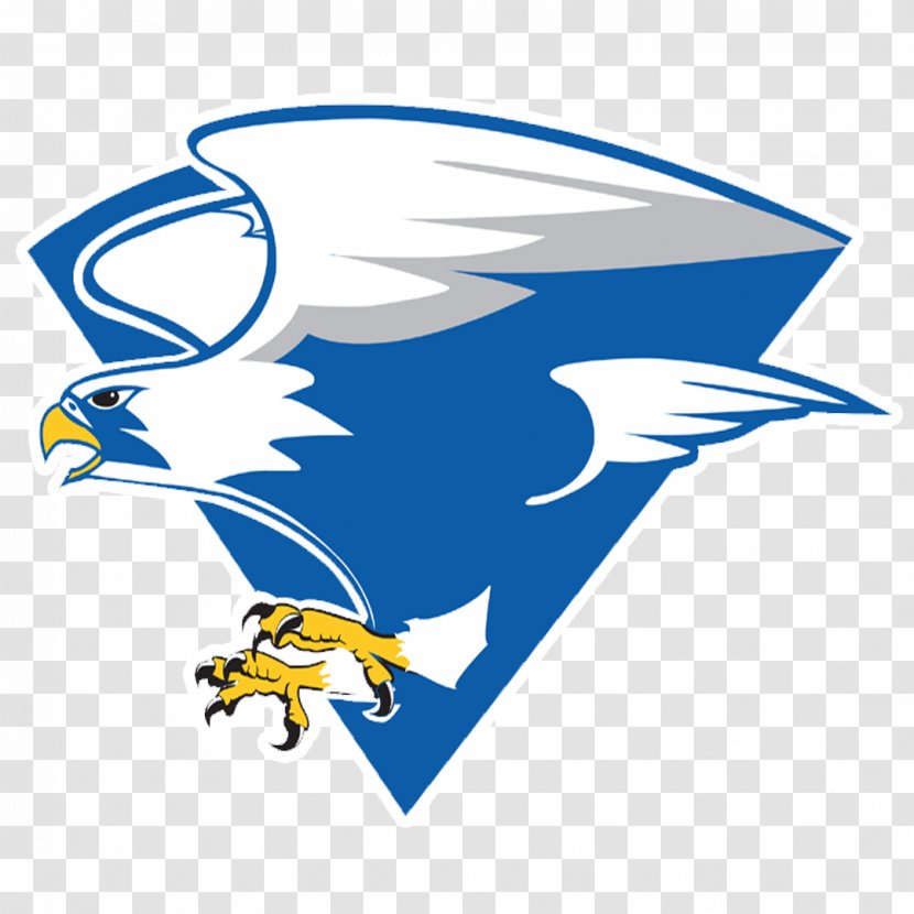 North Forney High School Pine Tree National Secondary - Beak Transparent PNG
