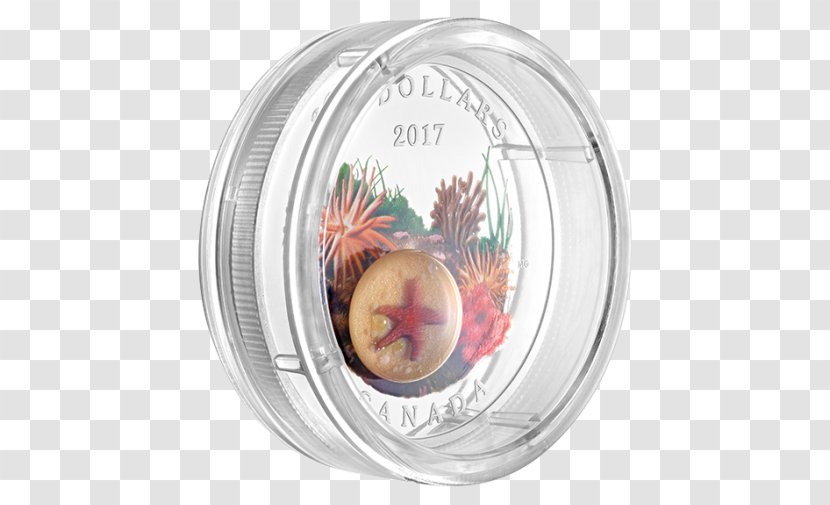 Christmas Ornament Tableware Transparent PNG