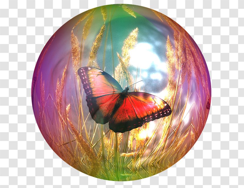 Butterfly Ssfm Puzzle Game Soap Bubble Beautiful Butterflies - Invertebrate - Bubbles Transparent PNG