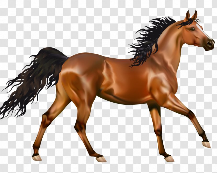 Arabian Horse Pony Clip Art Friesian - Saddle - Christmas Wallpaper Iphone Transparent PNG