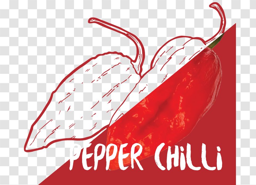 Chili Pepper Cayenne Bell Peperoncino Malagueta - Organism - Food Transparent PNG