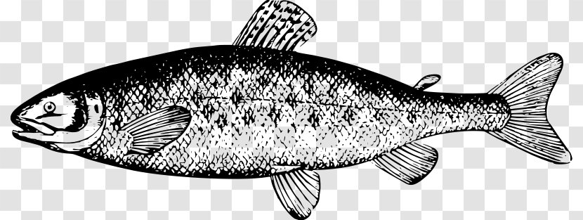 River Leven, Dunbartonshire Smoked Salmon Clip Art - Fish Transparent PNG