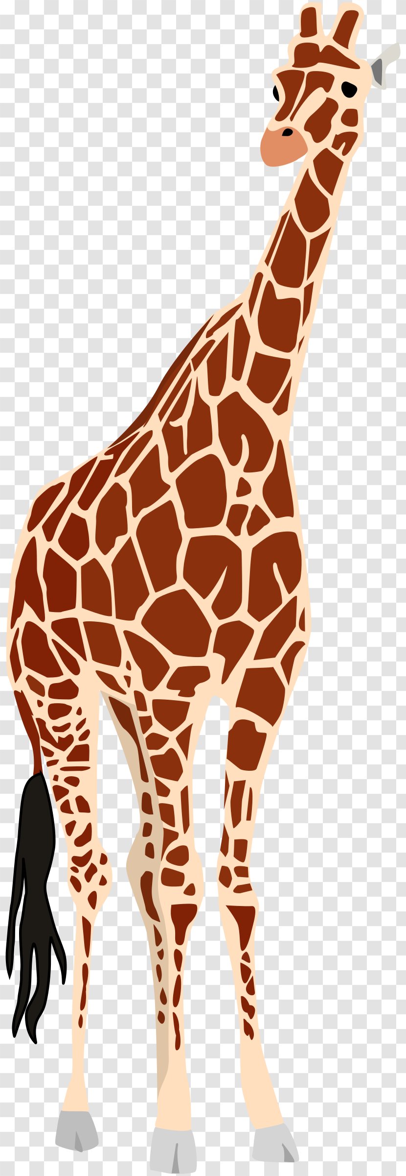 Giraffe Okapi Clip Art - Neck Transparent PNG