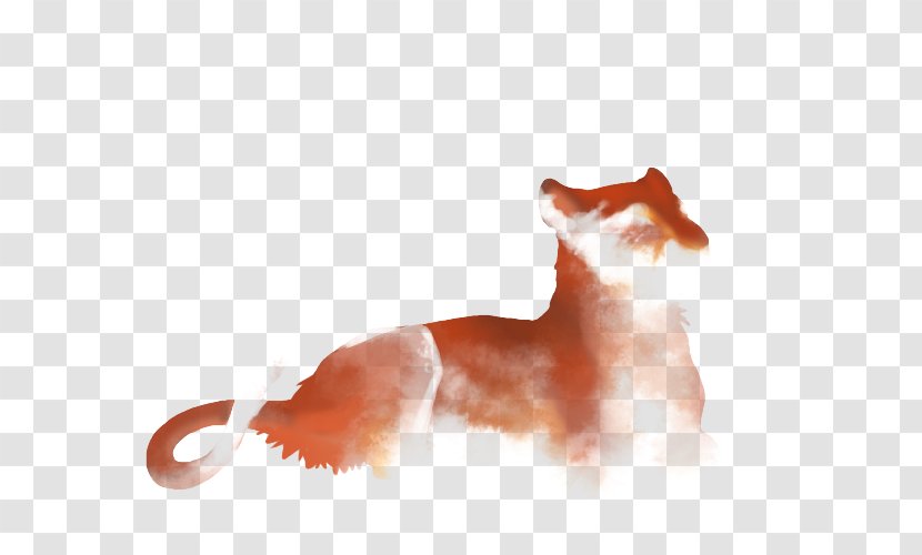 Whiskers Red Fox Cat Snout Tail Transparent PNG