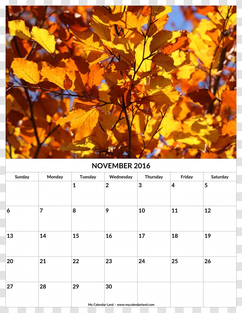 Calendar 0 Equinox September Autumn - November Transparent PNG