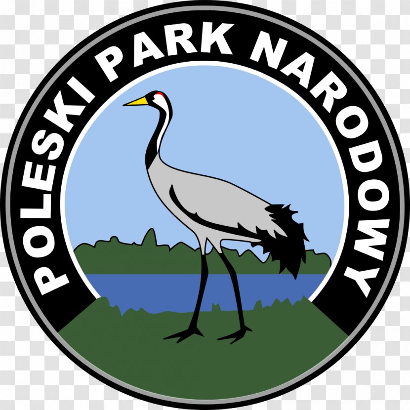 Polesie National Park Bieszczady Kozienice Landscape Brodnica Transparent PNG