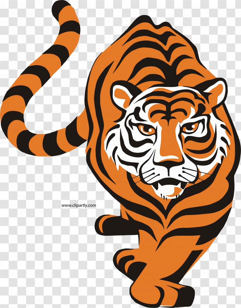 Clip Art Logo Vector Graphics Image Bengal Tiger - Christmas Backgrounds Transparent PNG