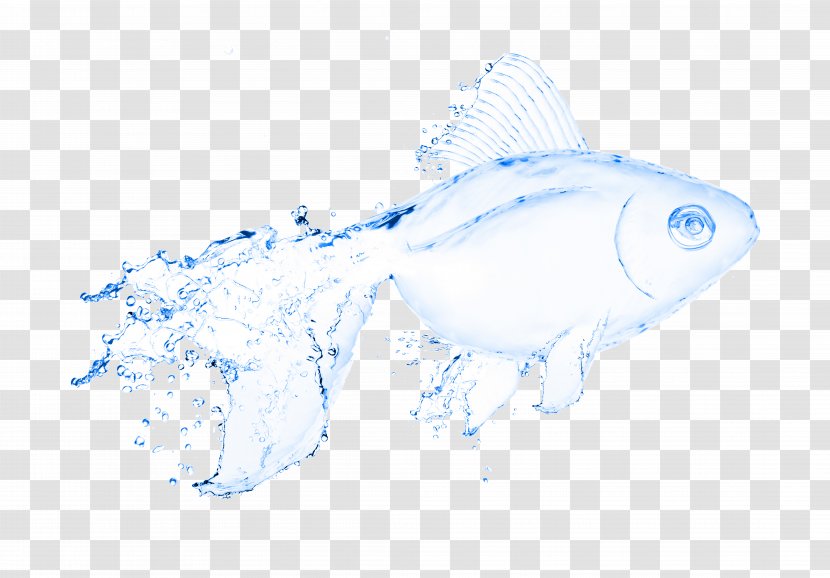 Water Fish Stock Photography Illustration - Seafood - Transparent Transparent PNG