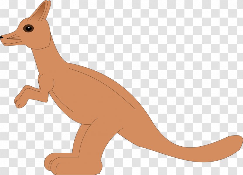 Kangaroo Red Fox Macropodidae Dog Canidae Transparent PNG