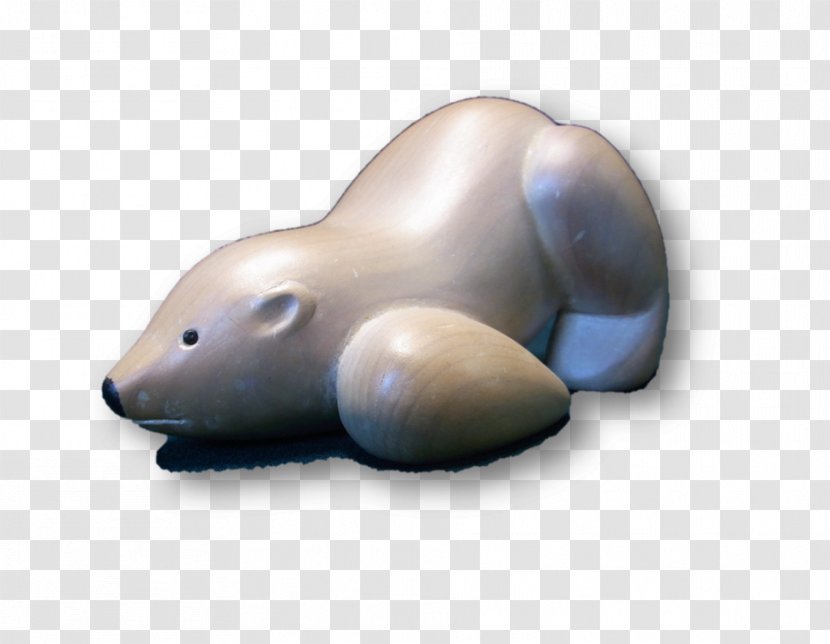 Marine Mammal Animal Fauna Carnivora - Witch Transparent PNG