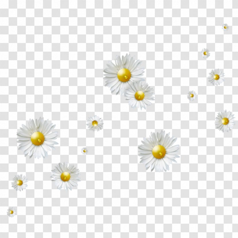 Flower Clip Art - Freeware - White Chrysanthemum Floating Material Transparent PNG