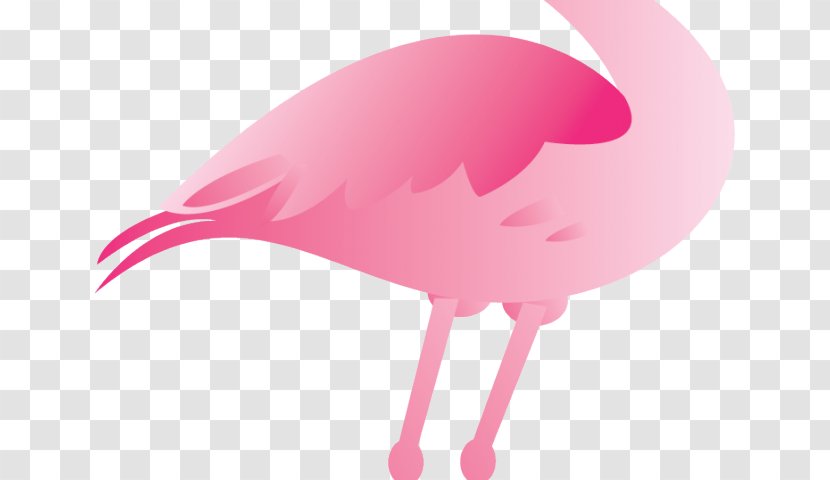 Clip Art Plastic Flamingo Transparency - Greater - Celosia Argenta Spicata Transparent PNG