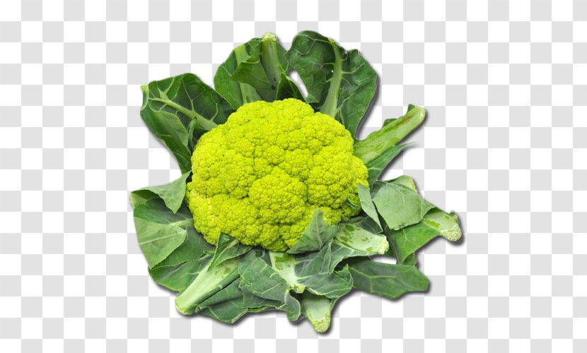 Broccoli Cauliflower Vegetarian Cuisine Collard Greens Spring - Cruciferous Vegetables Transparent PNG