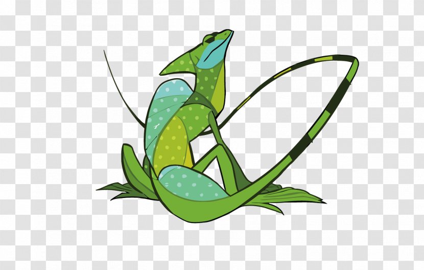 Common Basilisk The Jesus Lizard Plumed Illustration - Drawing - Vector Green Transparent PNG