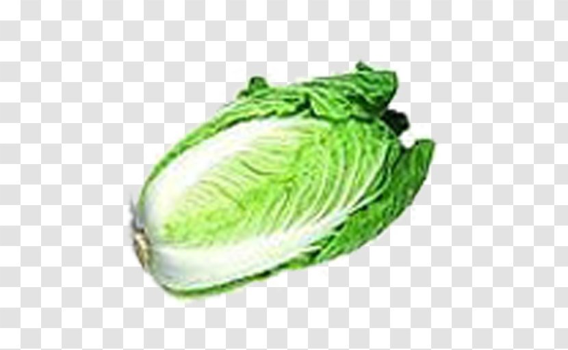 Chinese Cabbage Napa Vegetable Melon - Roll Transparent PNG