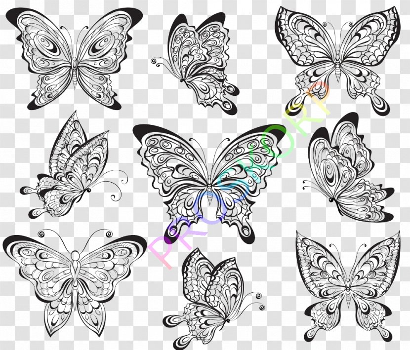Drawing Tattoo Motif Clip Art - Monochrome - Creative Butterfly Transparent PNG