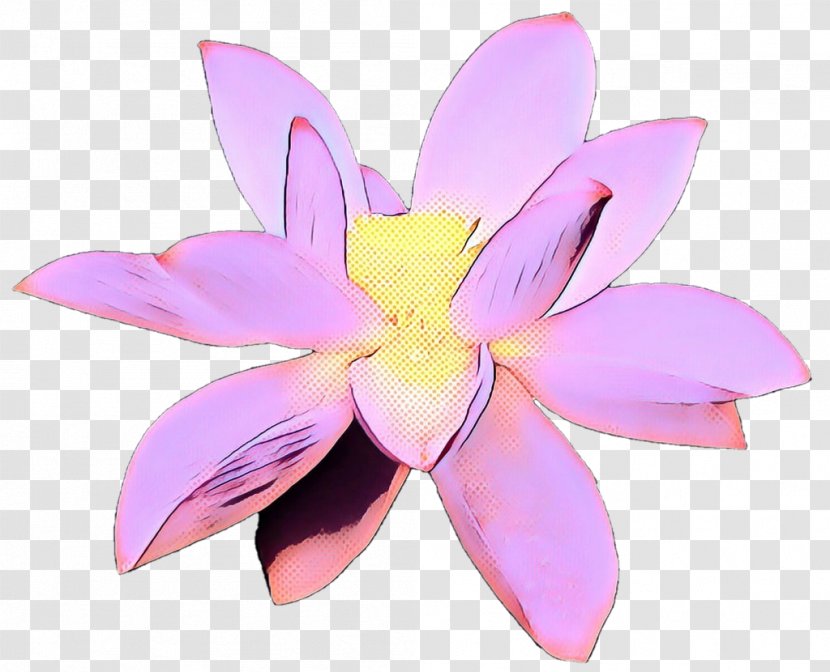 Pink Flower Cartoon - Petal - Cattleya Wildflower Transparent PNG