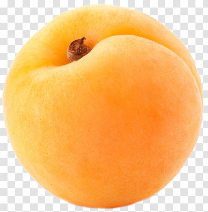 Peach Orange Apricot Peel Apple - Fruit - Large Clipart Transparent PNG