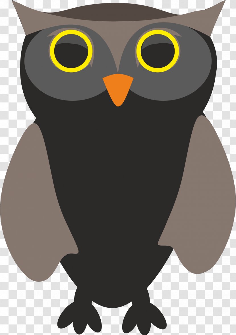 Bird Owl - Beak Transparent PNG