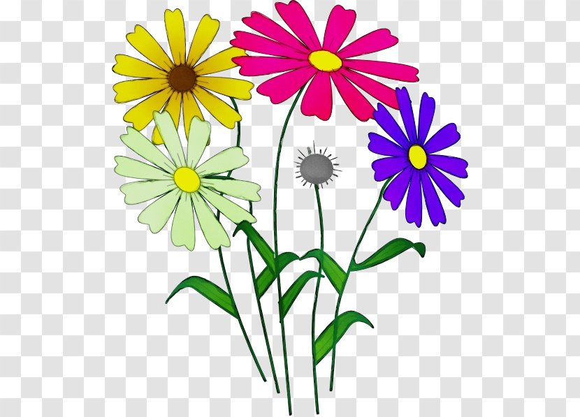 Drawing Of Family - Paint - Plant Stem African Daisy Transparent PNG